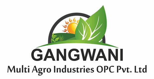 Gangwani Multi Agro Industries Pvt. Ltd 